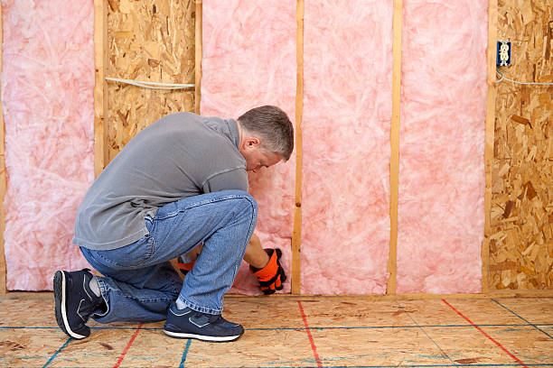 Best Insulation for Existing Homes  in USA